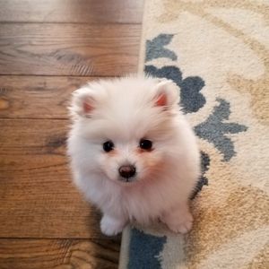 Meet your Posher, Camila